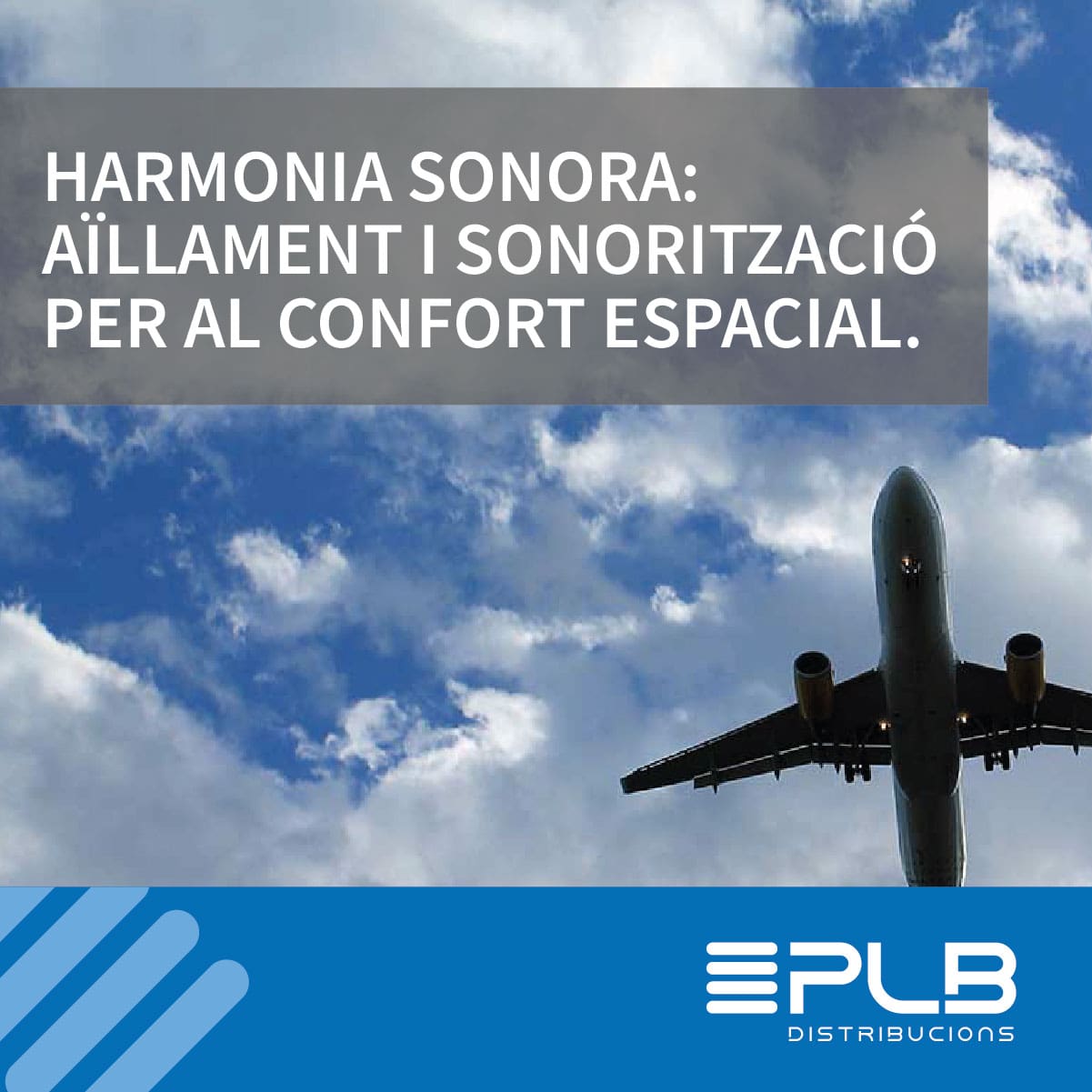 COM MILLORAR L'ACÚSTICA DEL TEU ESPAI: GUIA PRÀCTICA DE L'HARMONIA SONORA.